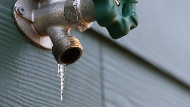 Best Local Plumber Services  in Leetsdale, PA